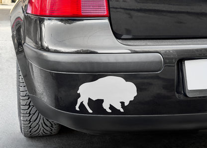 Buffalo Bumper Sticker